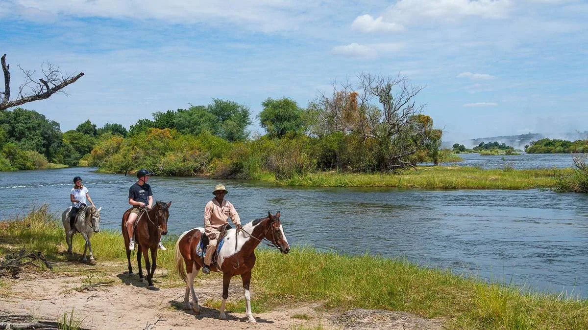 Guided horse trail beside the Zambezi near Livingstone