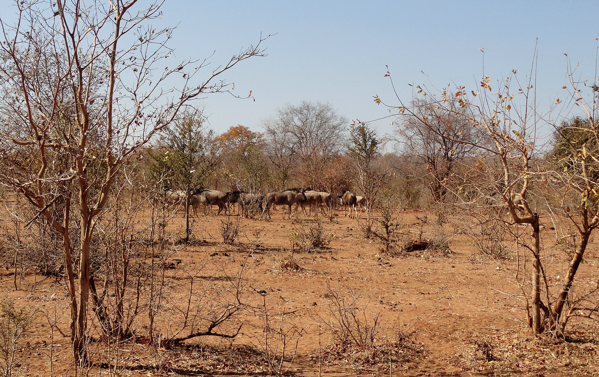 Mosi-oa-Tunya National Park
