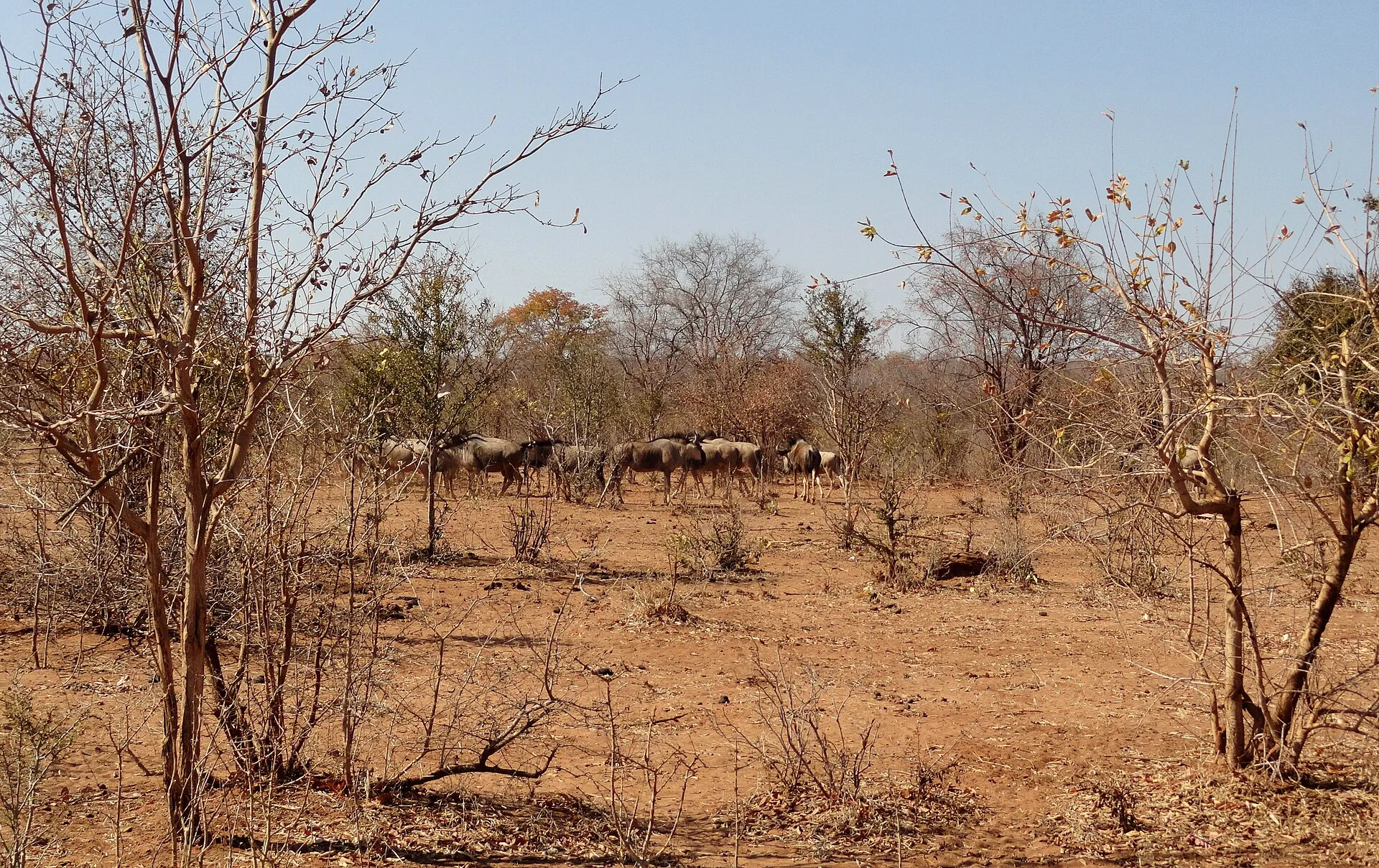 Mosi-oa-Tunya National Park